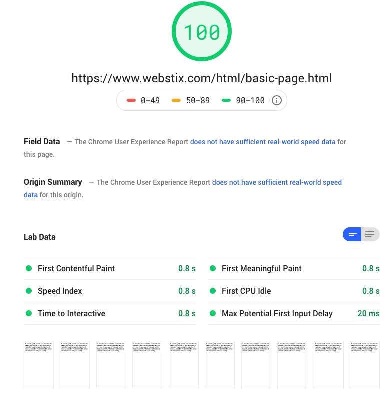 A perfect Google PageSpeed score of 100.
