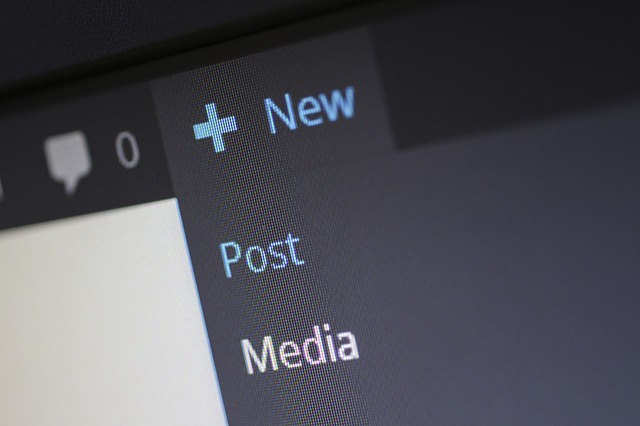 Addint a new post in WordPress